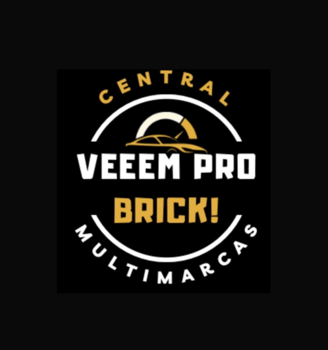 Logo Central multimarcas